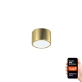 Immax Neo 07127L - LED Dimmable ceiling light RONDATE LED/12W/230V Tuya
