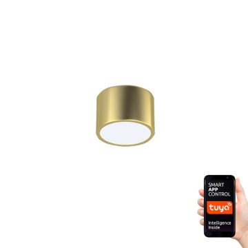 Immax Neo 07127L - LED Dimmable ceiling light RONDATE LED/12W/230V Tuya