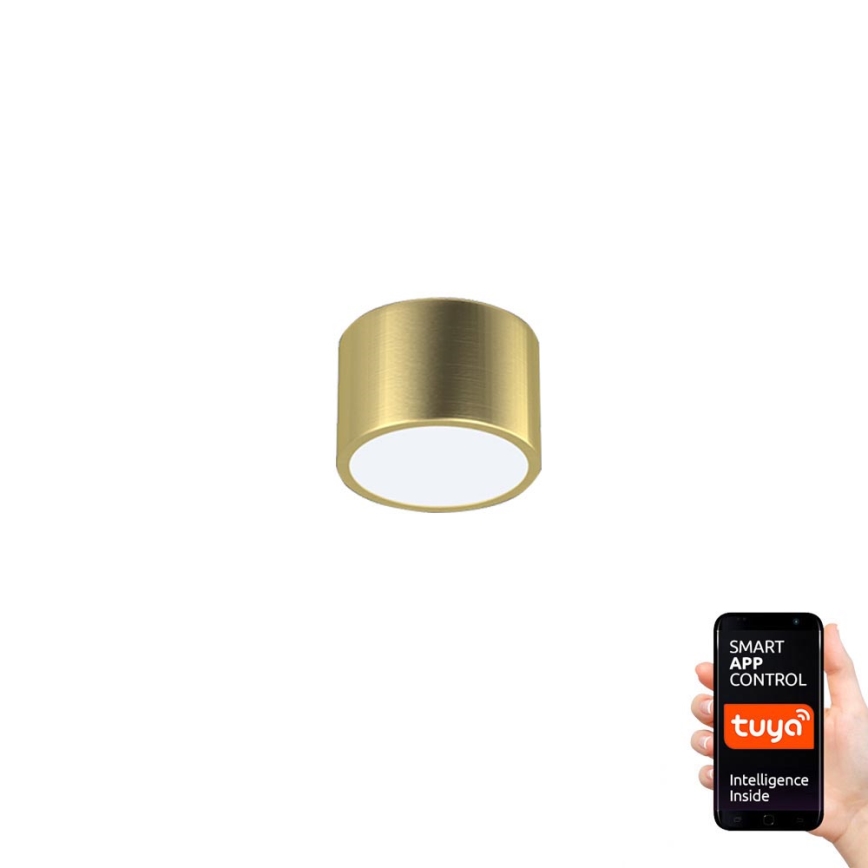 Immax Neo 07127L - LED Dimmable ceiling light RONDATE LED/12W/230V Tuya