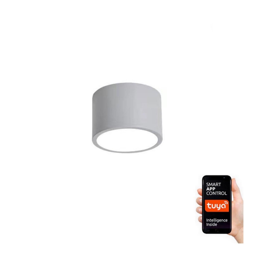 Immax NEO 07143-GR15X - LED Dimmable ceiling light RONDATE LED/12W/230V Tuya grey