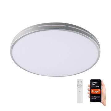 Immax NEO 07147-S42 - LED Dimmable ceiling light NEO LITE VISTAS LED/24W/230V Tuya Wi-Fi silver + remote control
