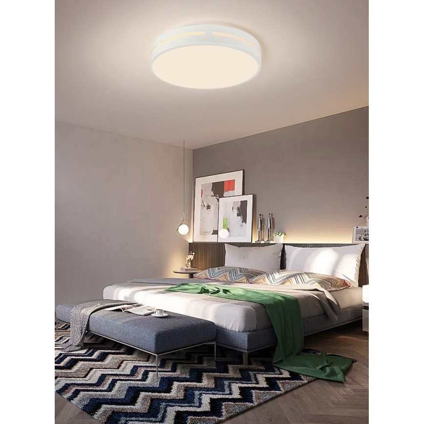 Immax NEO 07153-W40 - LED Dimmable ceiling light NEO LITE PERFECTO LED/24W/230V Wi-Fi Tuya white + remote control