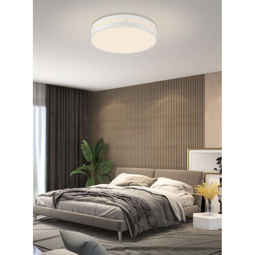 Immax NEO 07153-W40 - LED Dimmable ceiling light NEO LITE PERFECTO LED/24W/230V Wi-Fi Tuya white + remote control