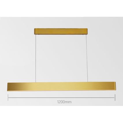 Immax NEO 07157-G120X - LED RGB+CCTW Dimmable chandelier on a string MILANO LED/40W/230V Tuya gold