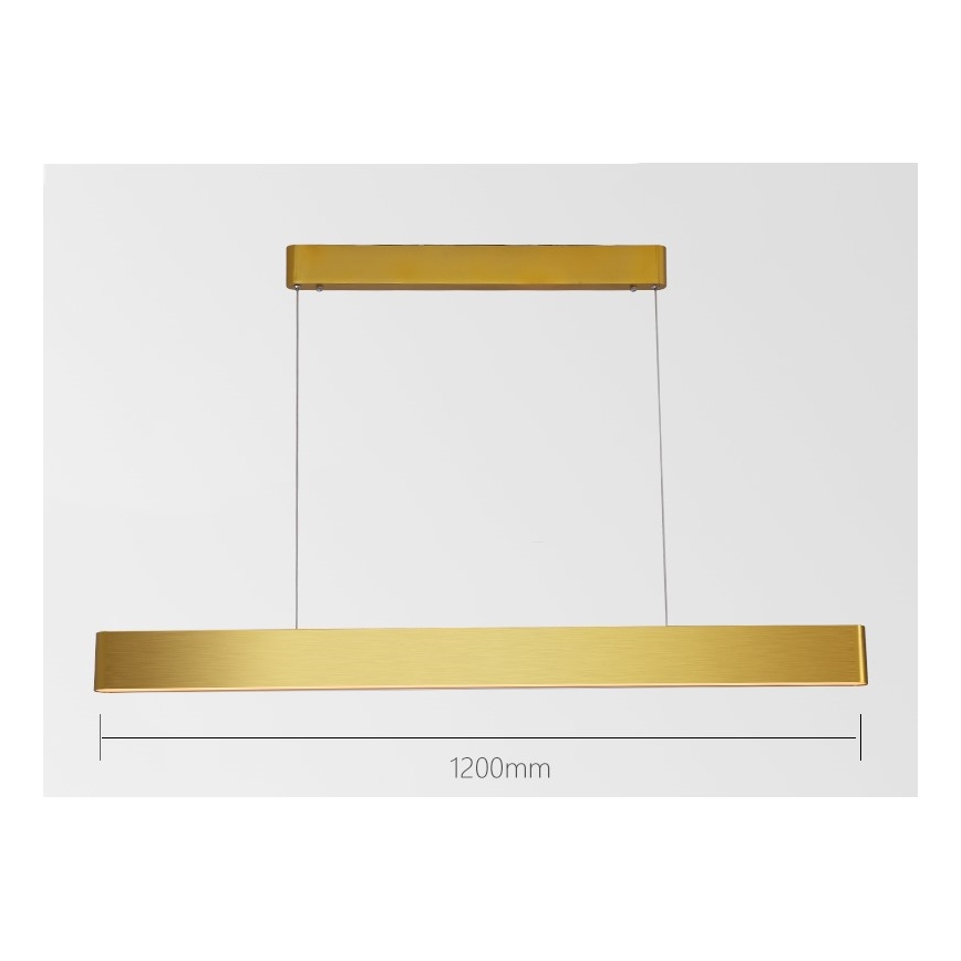 Immax NEO 07157-G120X - LED RGB+CCTW Dimmable chandelier on a string MILANO LED/40W/230V Tuya gold