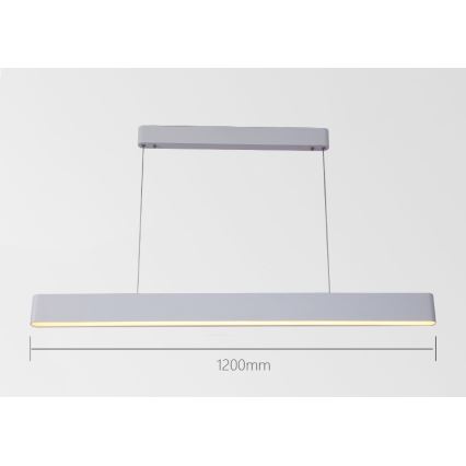 Immax NEO 07157-W120X - LED RGB+CCT Dimmable chandelier on a string MILANO LED/40W/230V Tuya white