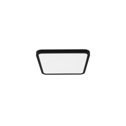 Immax NEO 07167-B40 - LED RGB+CCT Dimmable ceiling light NEO LITE TUDO LED/50W/230V Wi-Fi Tuya black + remote control