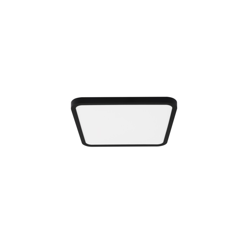 Immax NEO 07167-B40 - LED RGB+CCT Dimmable ceiling light NEO LITE TUDO LED/50W/230V Wi-Fi Tuya black + remote control