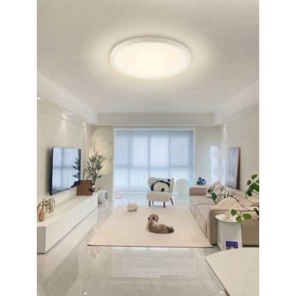 Immax NEO 07169-W60 - LED RGB+CCT Dimmable ceiling light NEO LITE TUDO 65W/230V 2700-6500K Wi-Fi Tuya + remote control white