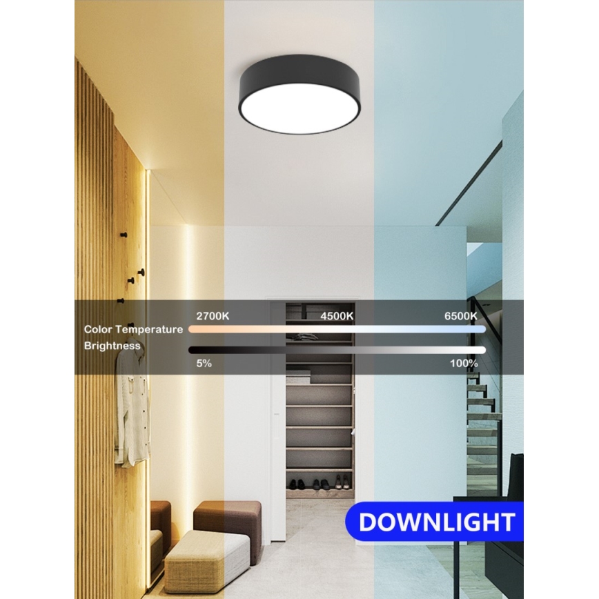 Immax NEO 07200L - LED Dimmable ceiling light RONDATE LED/18W/230V 3000-6000K d. 25 cm black Tuya + remote control