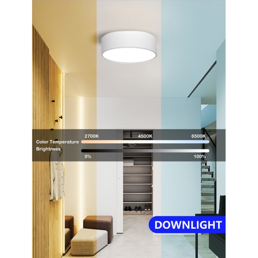 Immax NEO 07204L - LED Dimmable ceiling light RONDATE LED/18W/230V 3000-6000K white Tuya + remote control