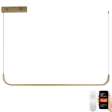 Immax NEO 07227L - LED Dimmable chandelier on a string PATTINI LED/26W/230V 3000-6000K Tuya + remote control