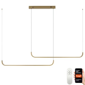 Immax NEO 07228L - LED Dimmable chandelier on a string PATTINI LED/53W/230V Tuya + remote control