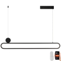 Immax NEO 07231L - LED Dimmable chandelier on a string NEO LITE OVALE LED/50W/230V 2700-6500K Wi-Fi Tuya + remote control