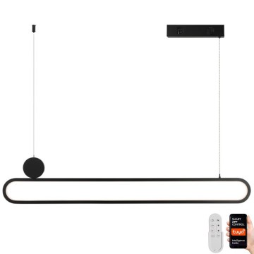 Immax NEO 07231L - LED Dimmable chandelier on a string NEO LITE OVALE LED/50W/230V 2700-6500K Wi-Fi Tuya + remote control