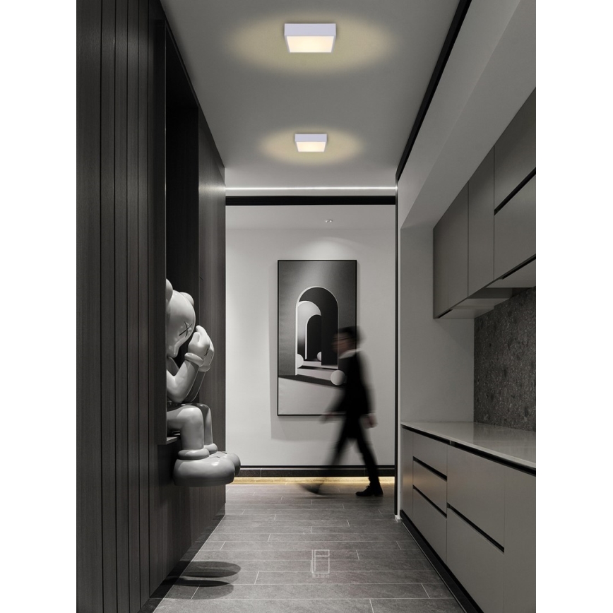 Immax NEO 07238L - LED Dimmable ceiling light CANTO LED/22W/230V white Tuya + remote control
