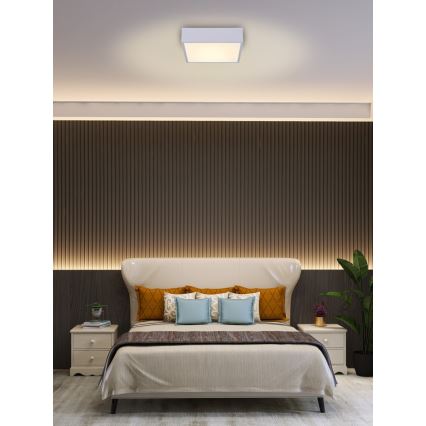 Immax NEO 07238L - LED Dimmable ceiling light CANTO LED/22W/230V white Tuya + remote control