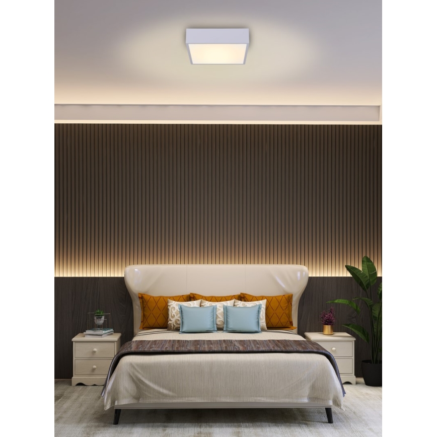 Immax NEO 07238L - LED Dimmable ceiling light CANTO LED/22W/230V white Tuya + remote control