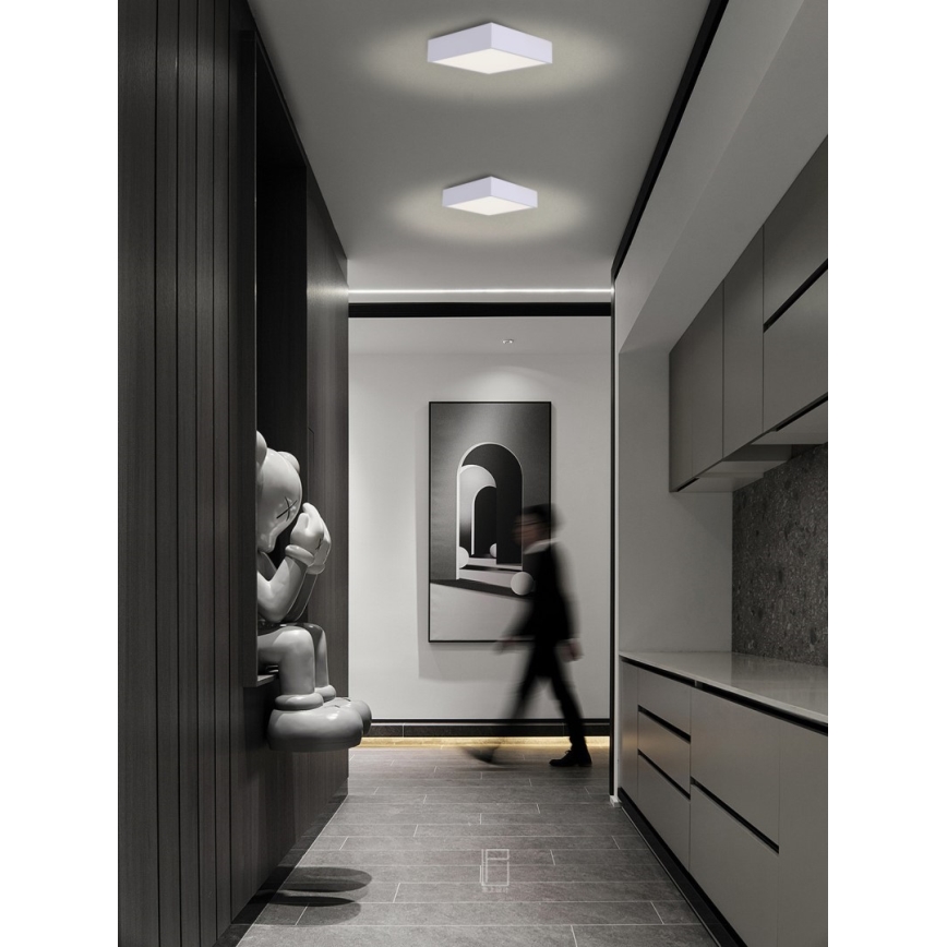 Immax NEO 07238L - LED Dimmable ceiling light CANTO LED/22W/230V white Tuya + remote control