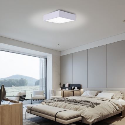 Immax NEO 07238L - LED Dimmable ceiling light CANTO LED/22W/230V white Tuya + remote control
