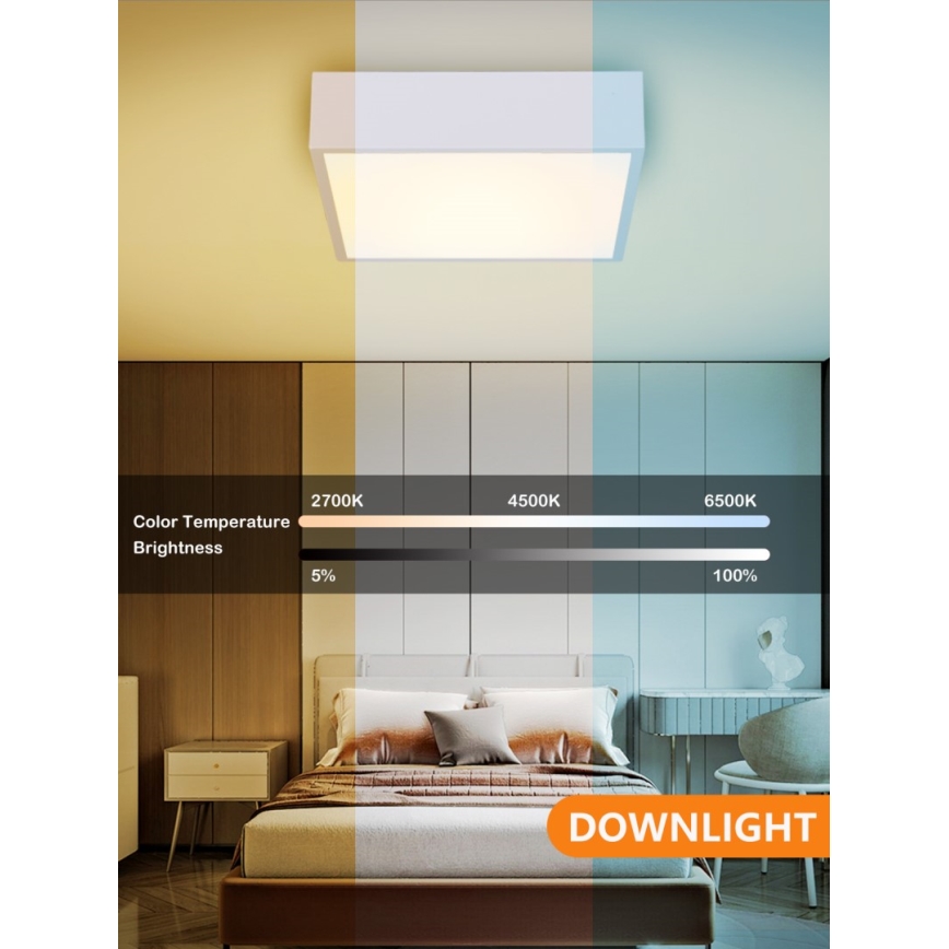 Immax NEO 07238L - LED Dimmable ceiling light CANTO LED/22W/230V white Tuya + remote control