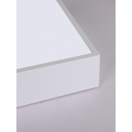 Immax NEO 07238L - LED Dimmable ceiling light CANTO LED/22W/230V white Tuya + remote control