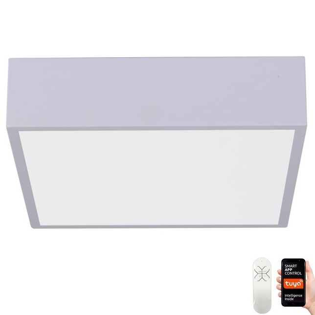 Immax NEO 07238L - LED Dimmable ceiling light CANTO LED/22W/230V white Tuya + remote control
