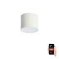 Immax NEO 07241L - RONDATE Dimmable LED Ceiling Light / 18W / 230V / 11.5 cm / Tuya Wi-Fi