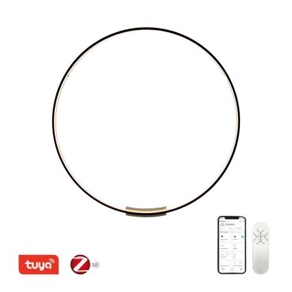 Immax NEO 07245-120 - LED Dimmable wall light FINO LED/70W/230V 120 cm Tuya + remote control