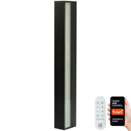 Immax NEO 07247L - LED Dimmable outdoor wall light LINK LED/40W/230V Wi-Fi Tuya IP44 + remote control