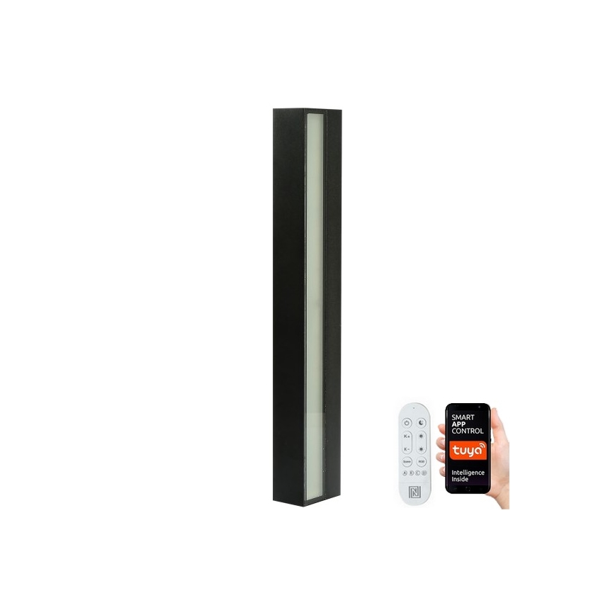 Immax NEO 07247L - LED Dimmable outdoor wall light LINK LED/40W/230V Wi-Fi Tuya IP44 + remote control