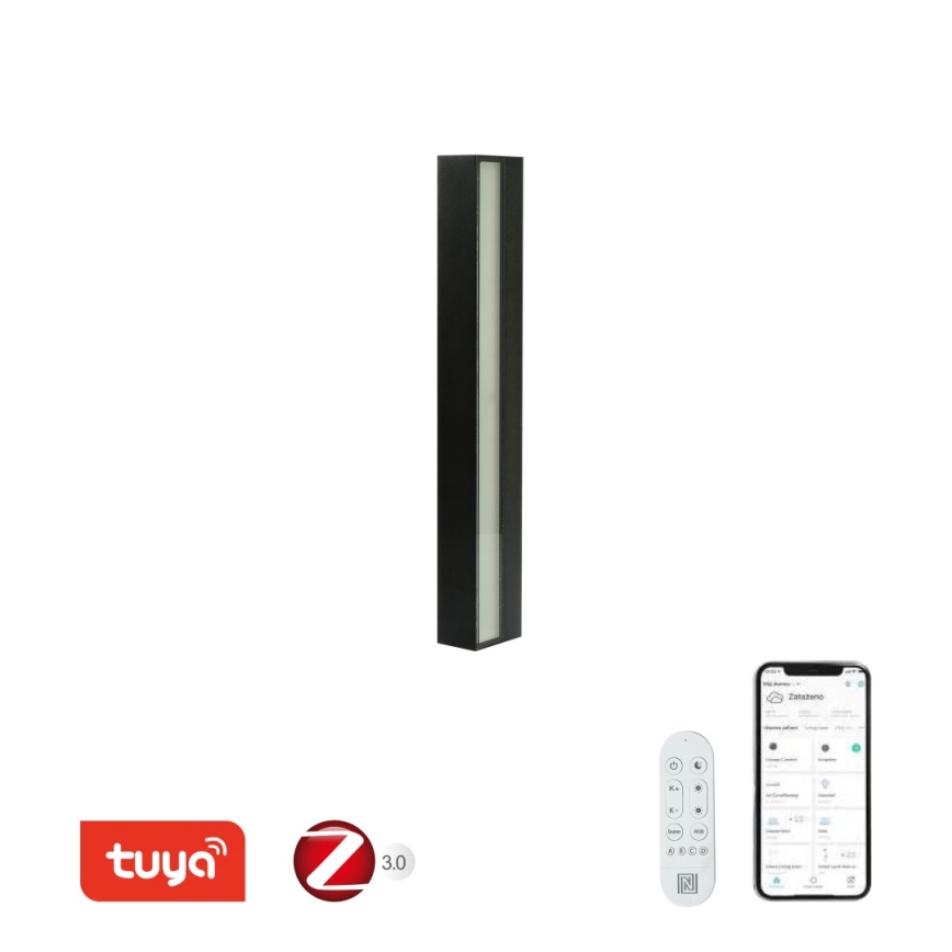 Immax NEO 07247L - LED Dimmable outdoor wall light LINK LED/40W/230V Wi-Fi Tuya IP44 + remote control