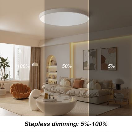 Immax NEO 07253L - LED Dimmable ceiling light NEO LITE SEMPLICI LED/60W/230V 3000-6000K Wi-Fi Tuya white + remote control
