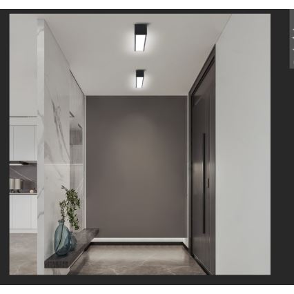 Immax NEO 07254L - LED Dimmable ceiling light NEO LITE LUNGO LED/20W/230V 3000-6000K Wi-Fi Tuya black + remote control