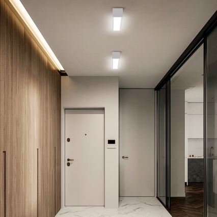 Immax NEO 07257L - LED Dimmable ceiling light NEO LITE LUNGO LED/20W/230V 3000-6000K Wi-Fi Tuya white + remote control