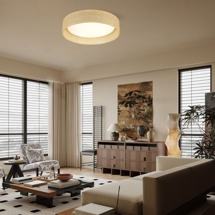 Immax NEO 07289L - LED+CCT Dimmable Ceiling Light LONA LED/36W/230V 3000-6000K Wi-Fi Tuya Ø 45.5 cm + Remote Control
