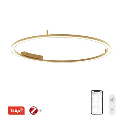 Immax NEO 07290-120G - FINO LED Dimmable CCT Ceiling Light LED/55W/230V 2700–6500K Tuya Ø 120 cm with Remote Control