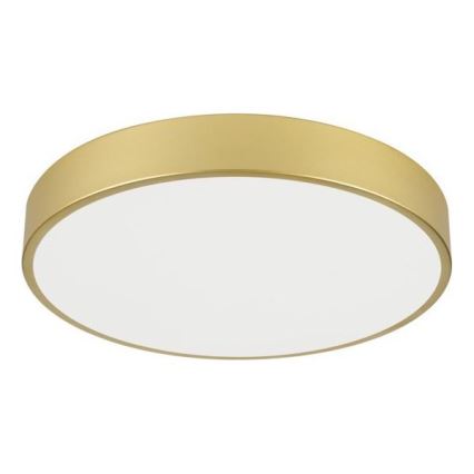 Immax NEO 07292L - Dimmable LED ceiling light NEO LITE SEMPLICI LED/36W/230V 3000–6000K Ø 40 cm Wi‑Fi Tuya gold + remote control