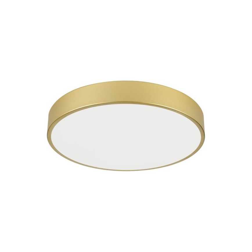 Immax NEO 07292L - Dimmable LED ceiling light NEO LITE SEMPLICI LED/36W/230V 3000–6000K Ø 40 cm Wi‑Fi Tuya gold + remote control