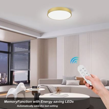 Immax NEO 07292L - LED+CCT Dimmable Ceiling Light SEMPLICI LED/36W/230V 2700-6500K Ø 40 cm + remote control