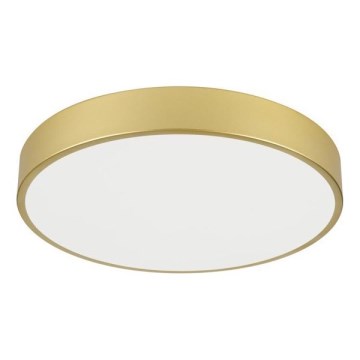 Immax NEO 07292L - LED+CCT Dimmable Ceiling Light SEMPLICI LED/36W/230V 2700-6500K Ø 40 cm + remote control