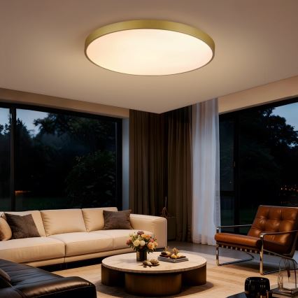 Immax NEO 07311L - SEMPLICI LED Dimmable Ceiling Light, 96W/230V, diam. 80 cm, Wi-Fi Tuya, Gold + Remote Control