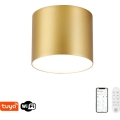 Immax NEO 07317L - RONDATE LED/18W/230V Dimmable ceiling light, Ø 11,5cm, Wi-Fi Tuya, gold