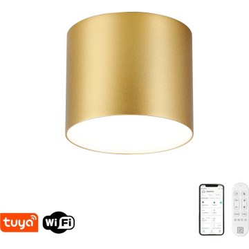 Immax NEO 07317L - RONDATE LED/18W/230V Dimmable ceiling light, Ø 11,5cm, Wi-Fi Tuya, gold