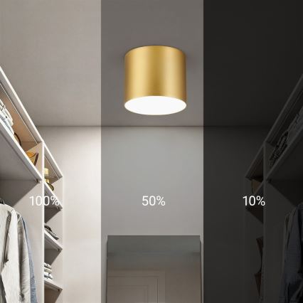 Immax NEO 07317L - RONDATE LED/18W/230V Dimmable ceiling light, Ø 11,5cm, Wi-Fi Tuya, gold
