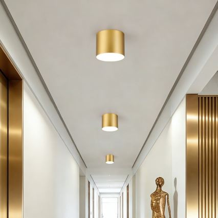 Immax NEO 07317L - RONDATE LED/18W/230V Dimmable ceiling light, Ø 11,5cm, Wi-Fi Tuya, gold