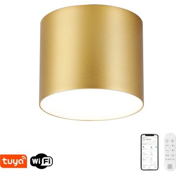 Immax NEO 07318L - RONDATE Dimmable LED Ceiling Light, 32W, 230V, Ø 16.5 cm, Tuya Wi‑Fi, Gold