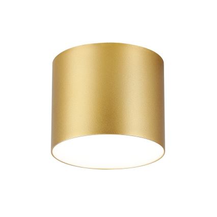 Immax NEO 07318L - RONDATE Dimmable LED Ceiling Light, 32W, 230V, Ø 16.5 cm, Tuya Wi‑Fi, Gold