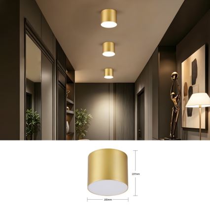 Immax NEO 07318L - RONDATE Dimmable LED Ceiling Light, 32W, 230V, Ø 16.5 cm, Tuya Wi‑Fi, Gold