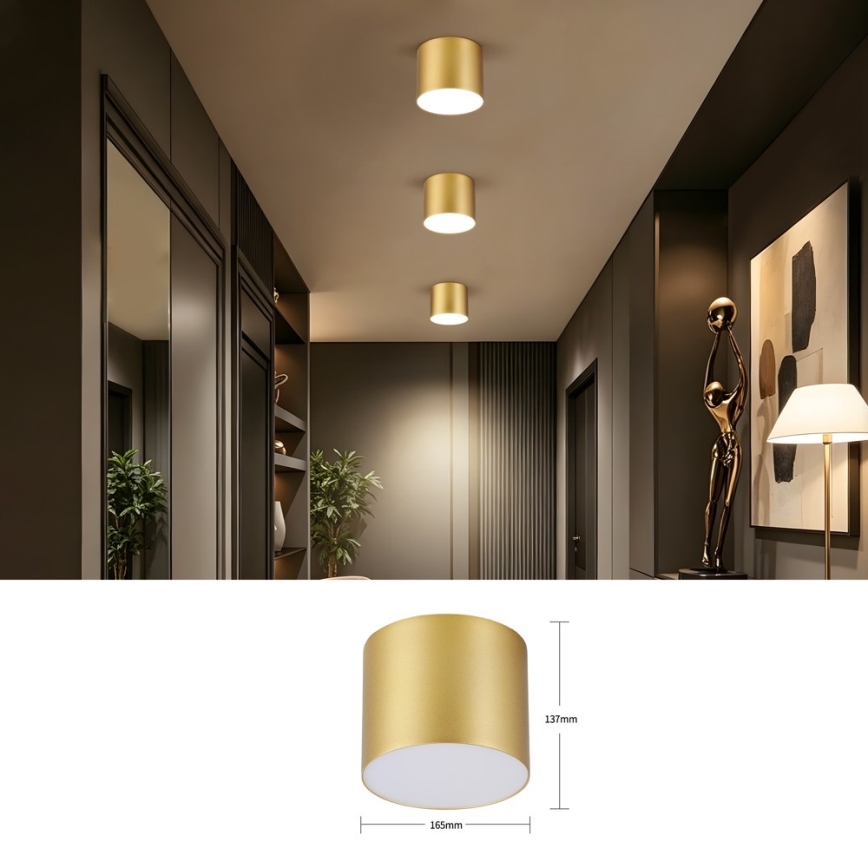 Immax NEO 07318L - RONDATE Dimmable LED Ceiling Light, 32W, 230V, Ø 16.5 cm, Tuya Wi‑Fi, Gold